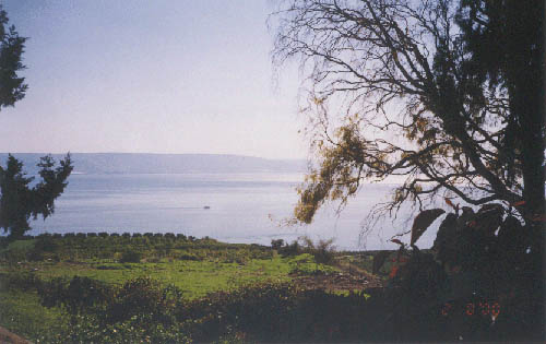 �Ⱥ���ȸ �޸鿡�� �ٶ� ������