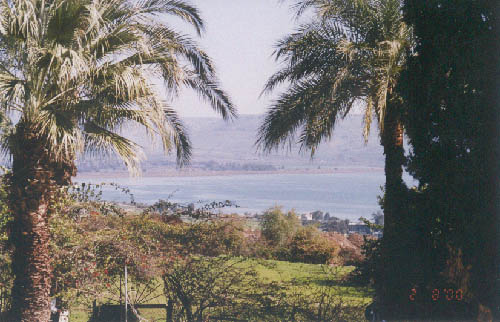 �Ⱥ���ȸ���� �ٶ� ������ �ٴ�