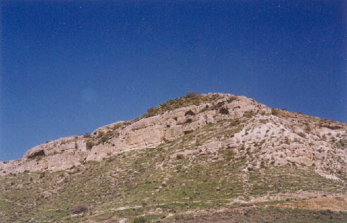 ������ �ֺ��� �θ��� �ִ� ������� ���