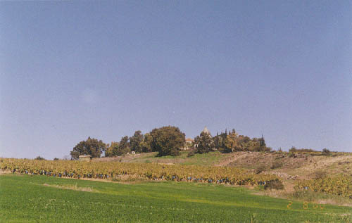 �Ⱥ���ȸ�� �ִ� ������