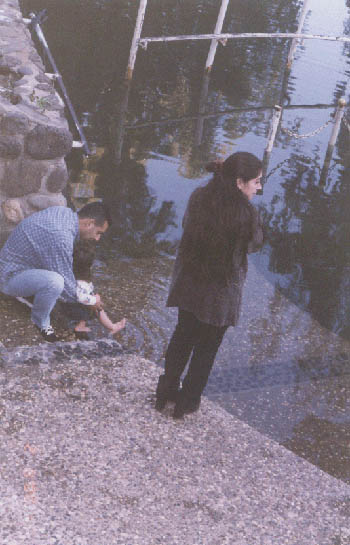 �ߵ��Ʈ�� �θ�� ����